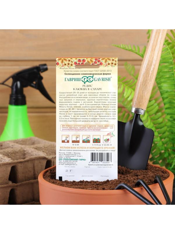 Семена Редис 
