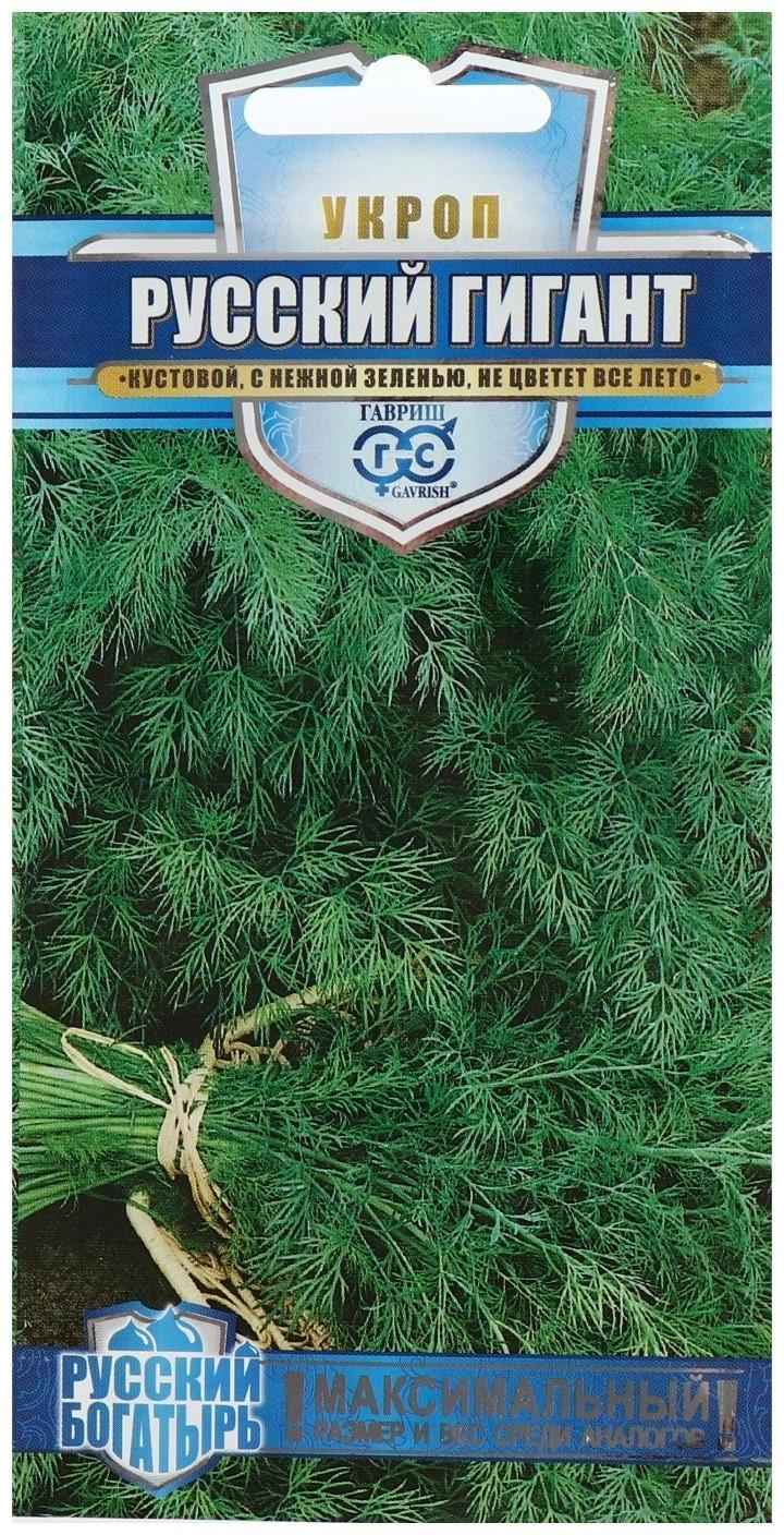 Семена Укроп 