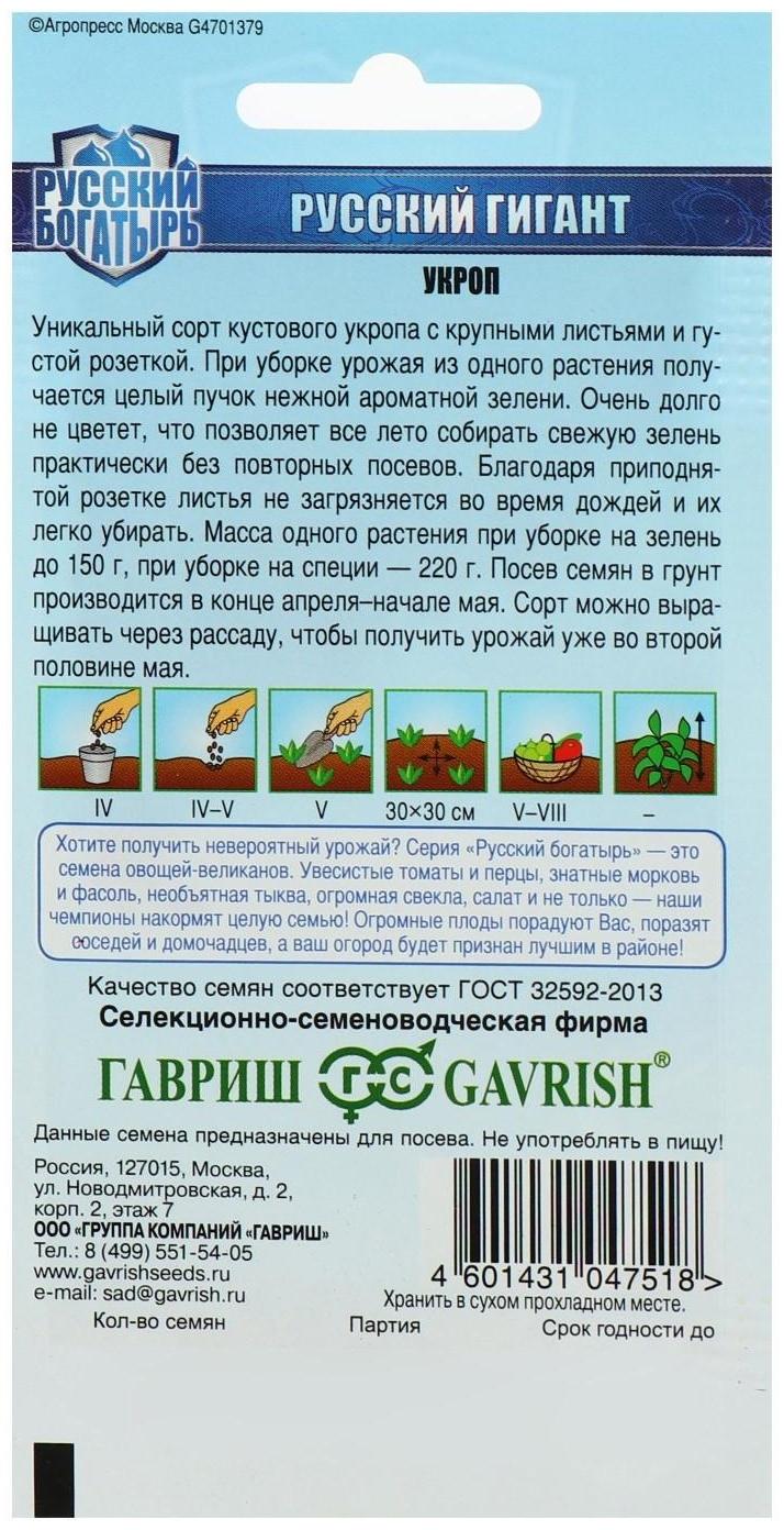 Семена Укроп 