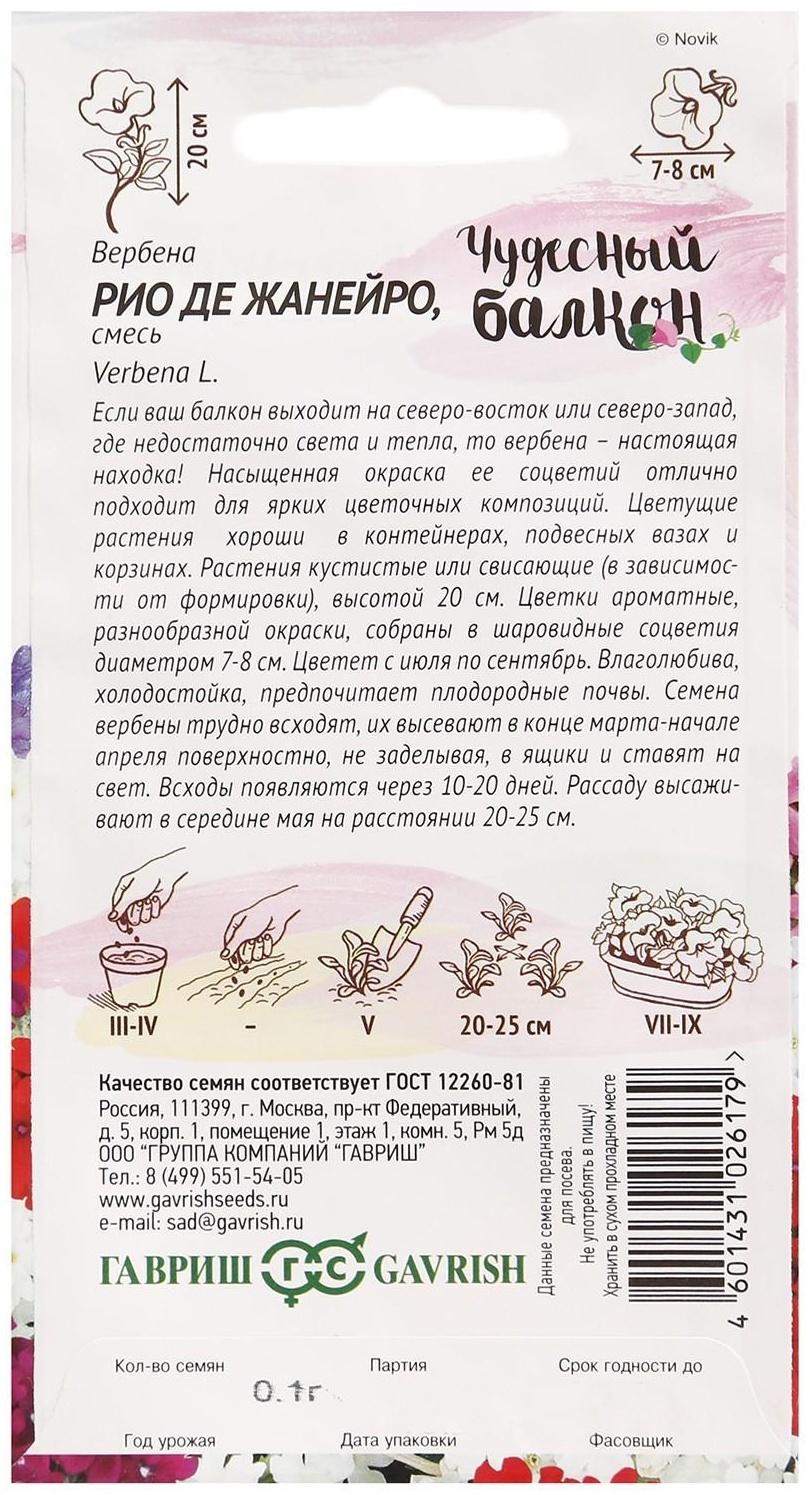 Семена цветов Вербена 