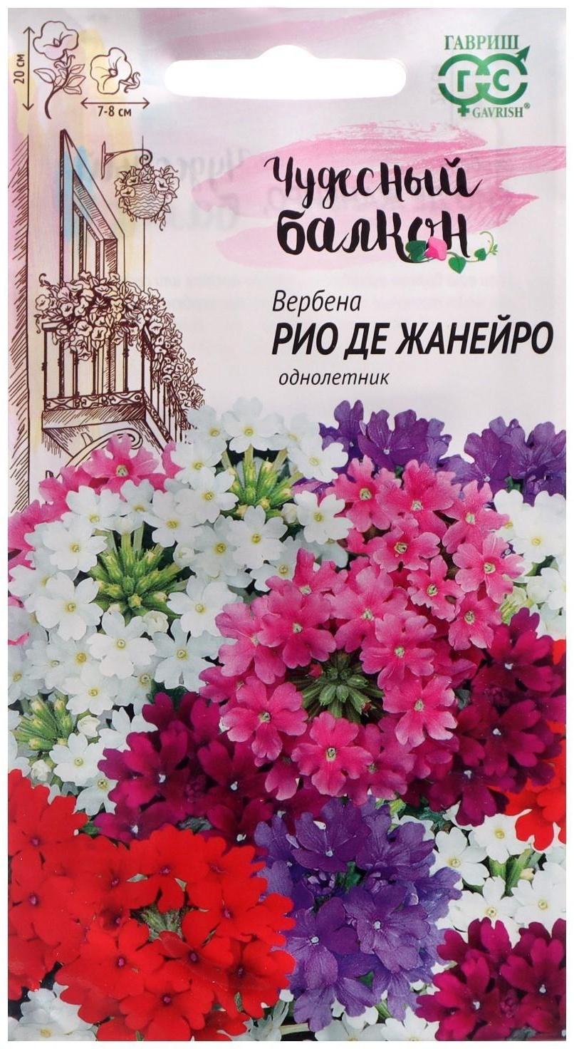 Семена цветов Вербена 