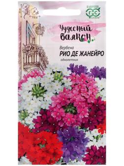 Семена цветов Вербена 