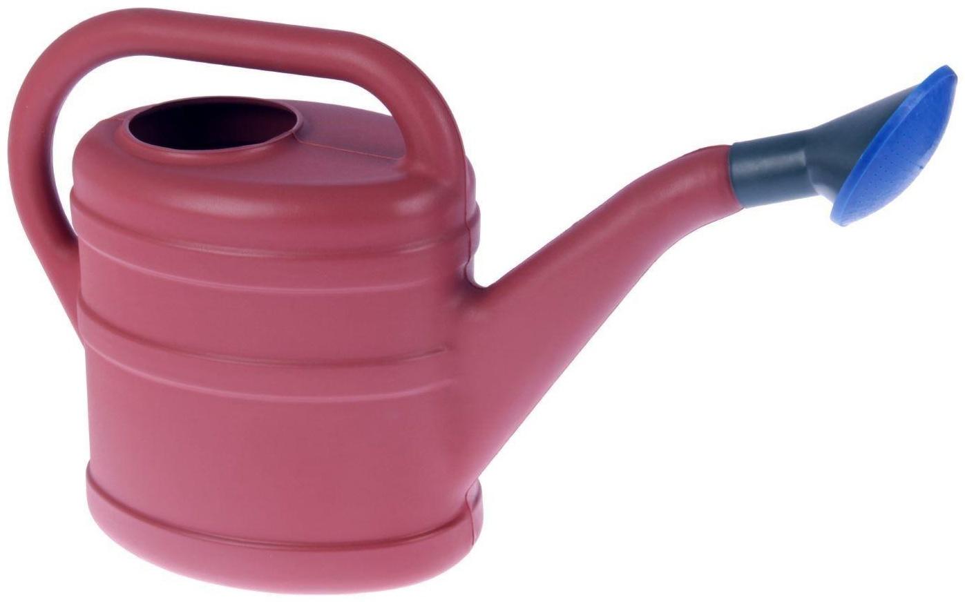 Лейка, 10 л, с рассеивателем, цвет МИКС, «Классика»