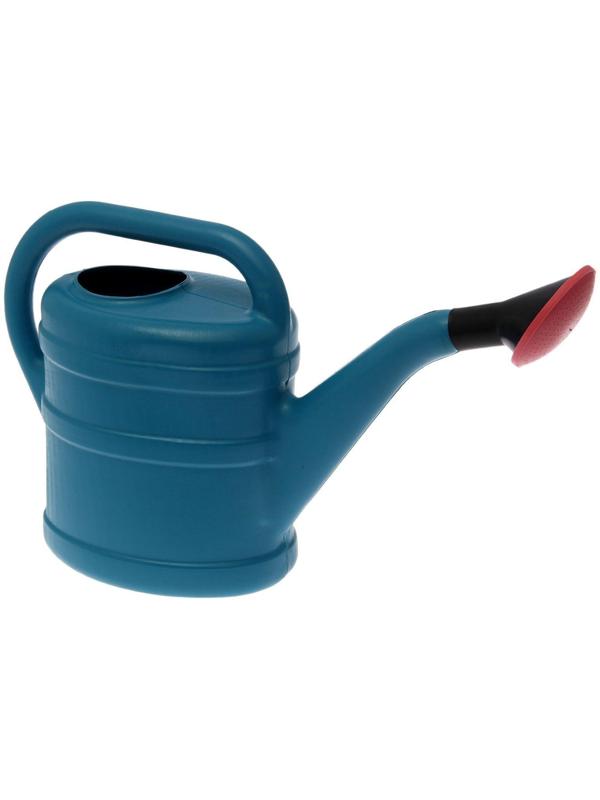 Лейка, 10 л, с рассеивателем, цвет МИКС, «Классика»