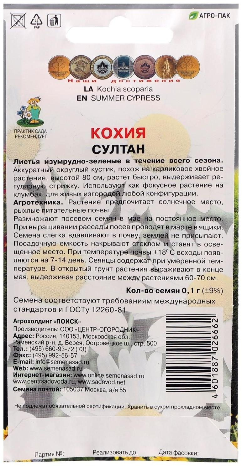 Семена цветов Кохия 