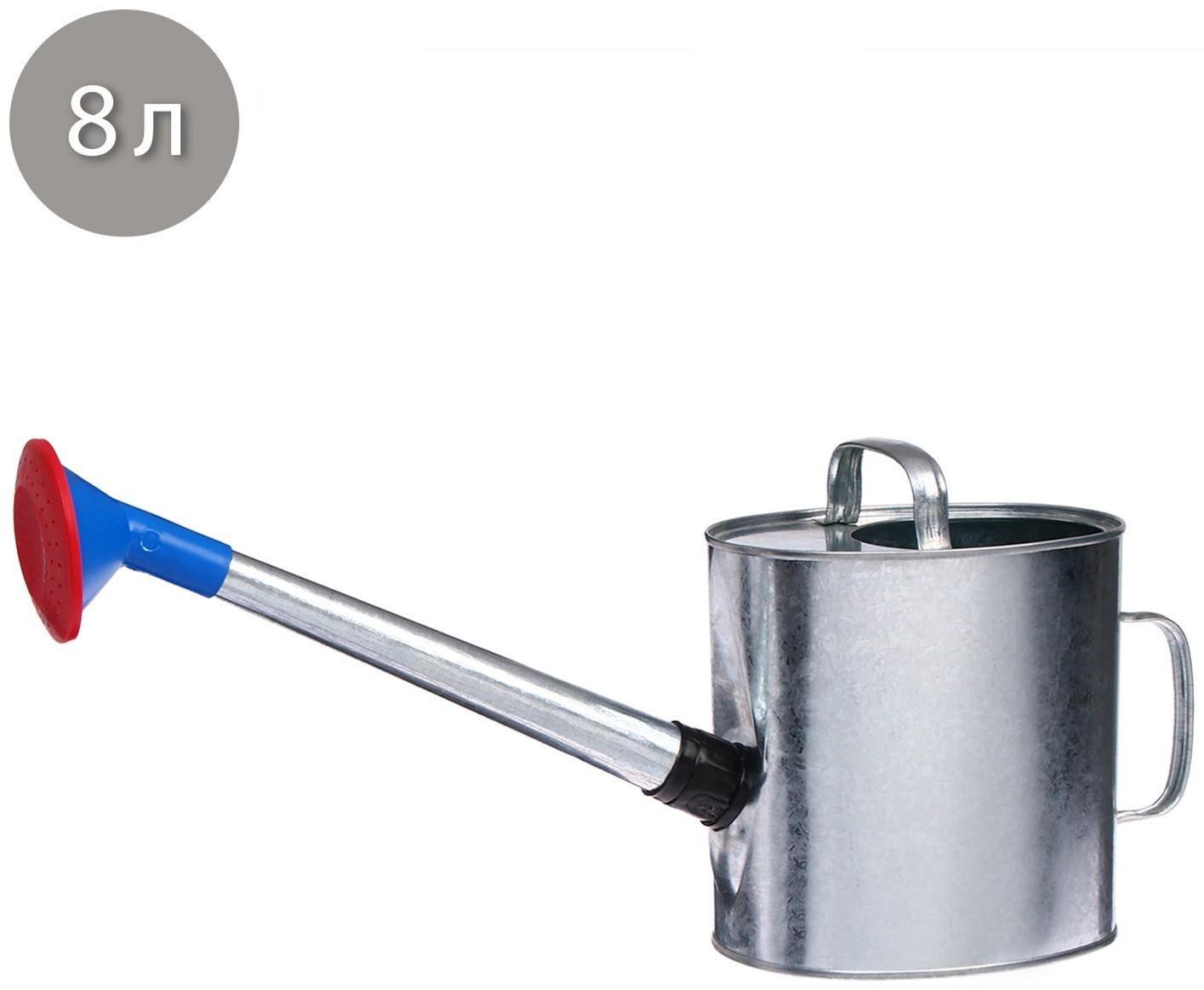 Лейка, 8 л, с рассеивателем, оцинкованная