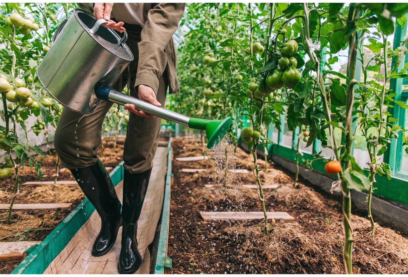 Лейка, 8 л, с рассеивателем, оцинкованная