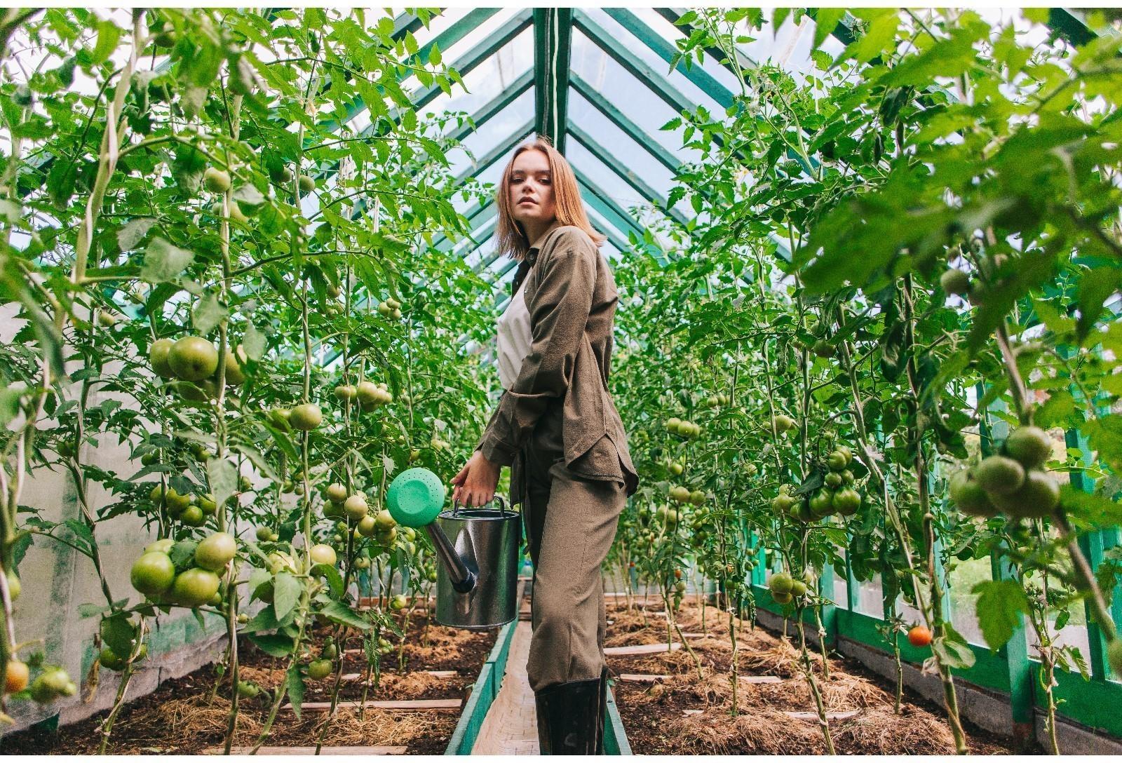 Лейка, 8 л, с рассеивателем, оцинкованная