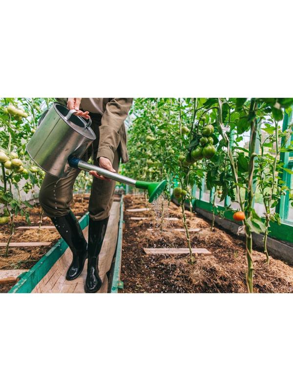 Лейка, 8 л, с рассеивателем, оцинкованная