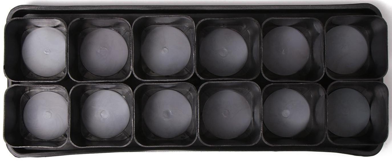 Набор для рассады: стаканы по 300 мл (12 шт.), поддон 43 × 18 см, МИКС, Greengo