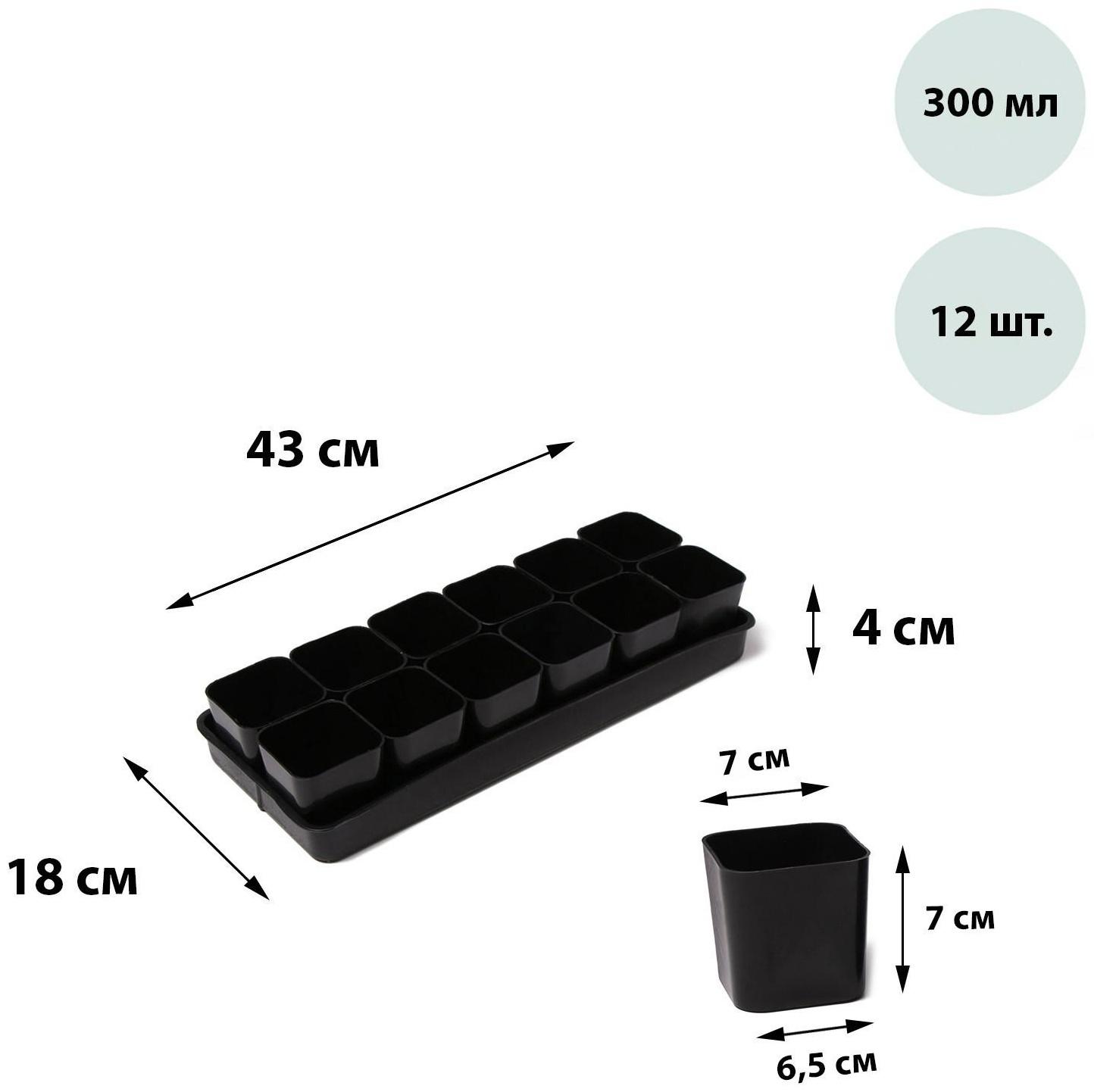 Набор для рассады: стаканы по 300 мл (12 шт.), поддон 43 × 18 см, МИКС, Greengo