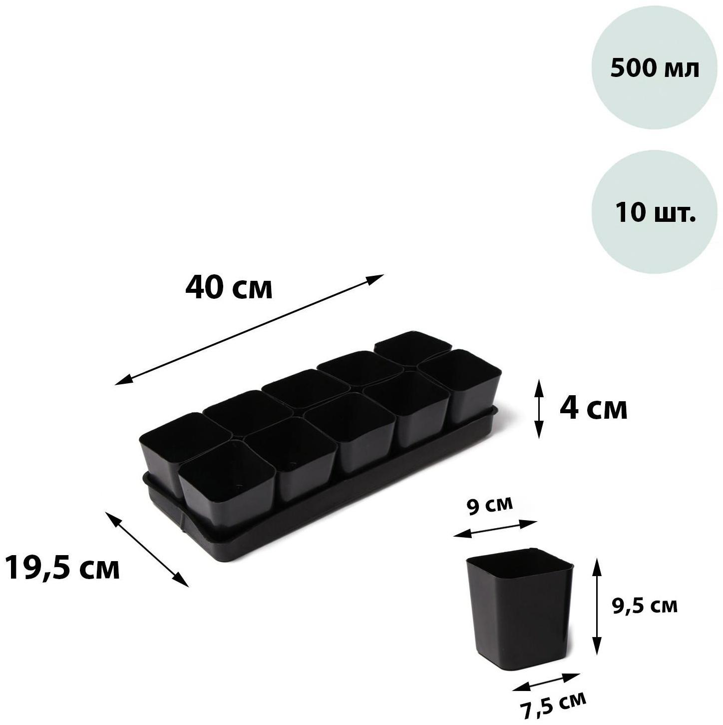 Набор для рассады: стаканы по 500 мл (10 шт.), поддон 40 × 19,5 см, МИКС, Greengo