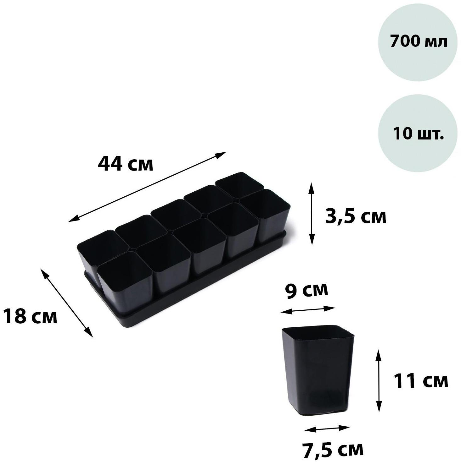 Набор для рассады: стаканы по 700 мл (10 шт.), поддон 44 × 18 см, чёрный, Greengo