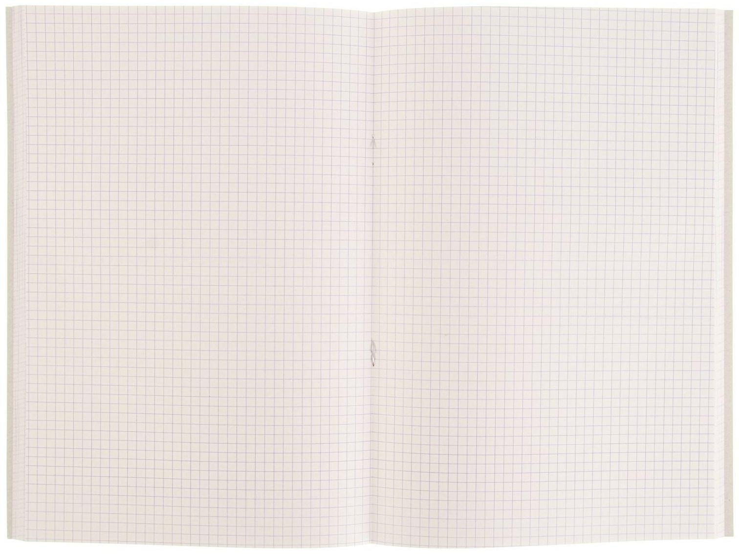 Книга учёта А4, 96 листов, клетка, обложка картон, офсет