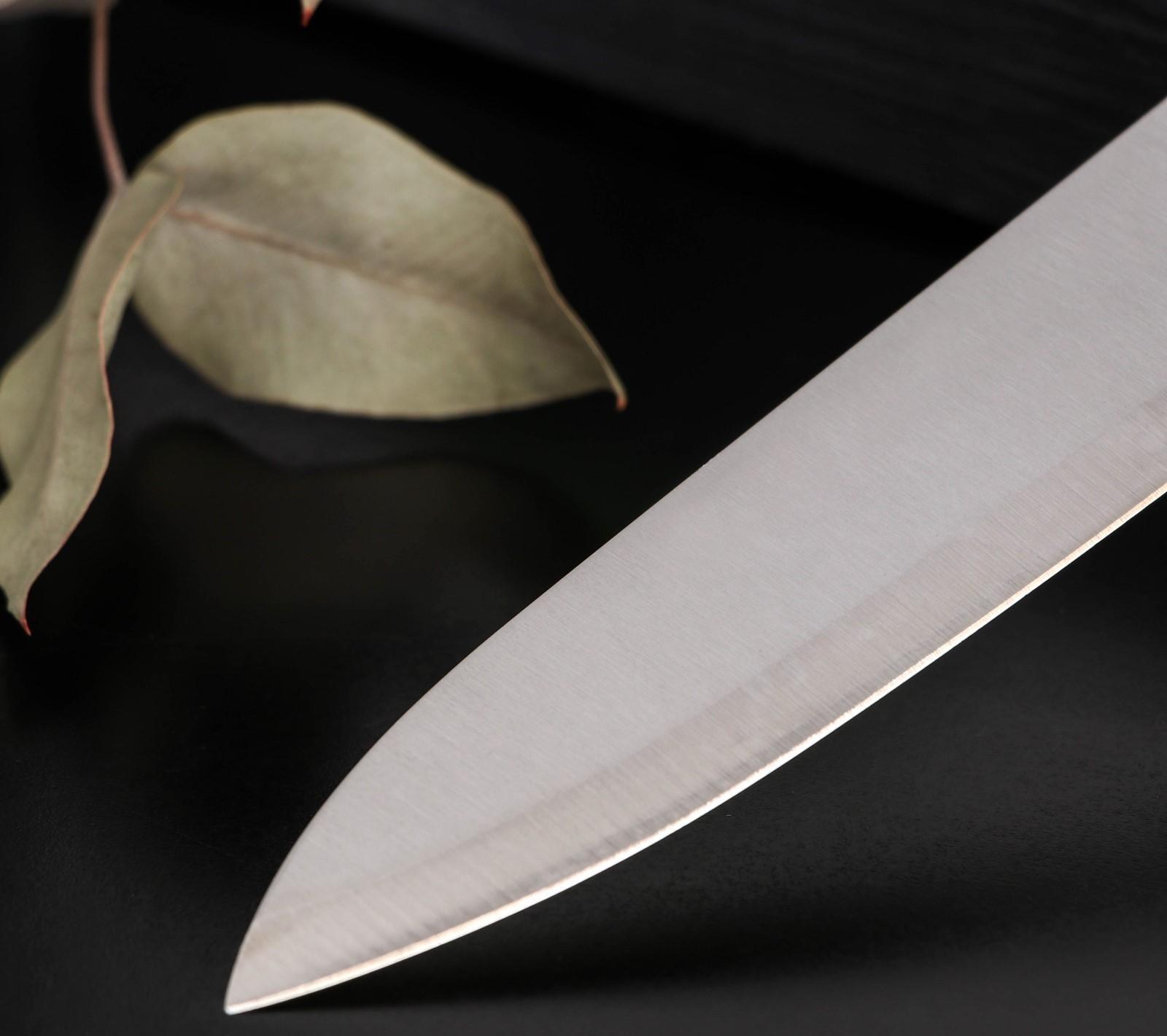 Нож кухонный Доляна «Раймонд», лезвие 14 см, цвет МИКС