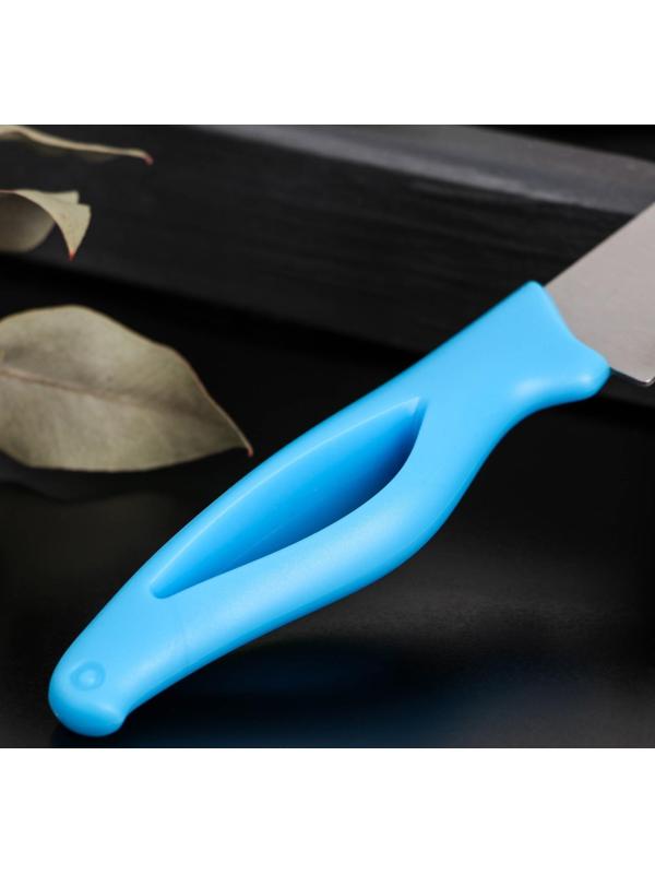 Нож кухонный Доляна «Раймонд», лезвие 14 см, цвет МИКС