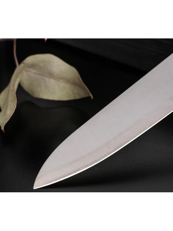 Нож кухонный Доляна «Раймонд», лезвие 14 см, цвет МИКС