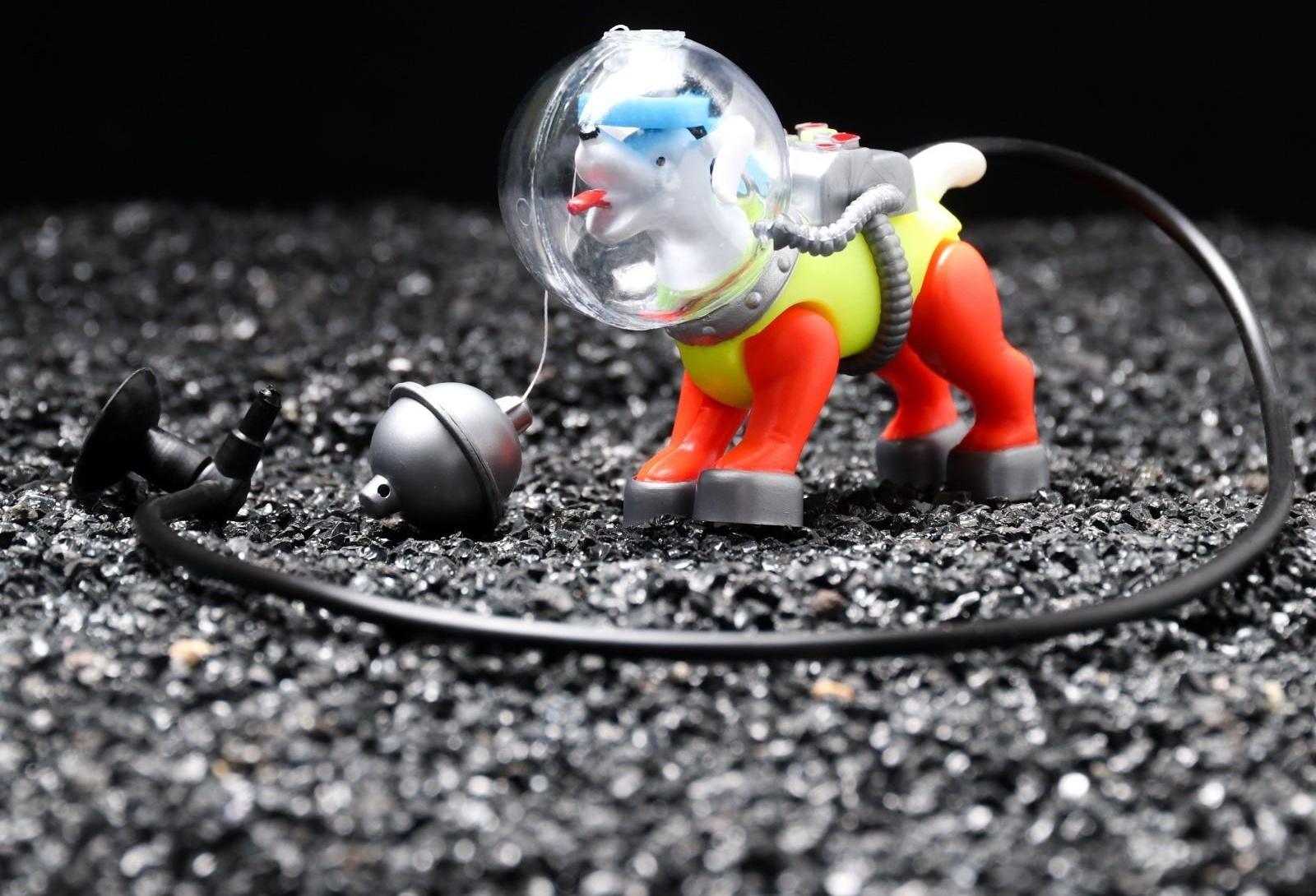 Распылитель подвижный 