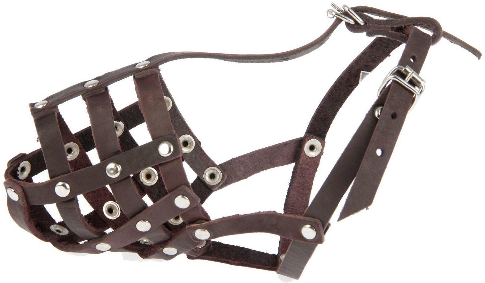 Намордник кожаный «Зооник» №1, спаниель, сеттер (длина по носу 8 см, обхват морды 8 см), микс 193142