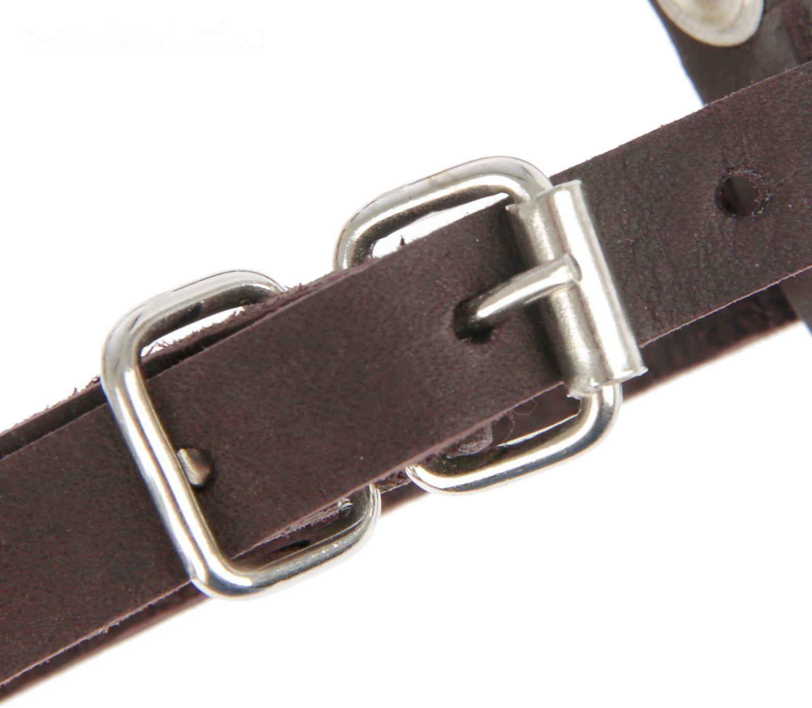 Намордник кожаный «Зооник» №1, спаниель, сеттер (длина по носу 8 см, обхват морды 8 см), микс 193142