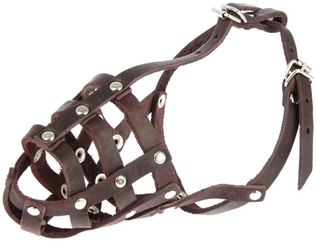 Намордник кожаный «Зооник» №1, спаниель, сеттер (длина по носу 8 см, обхват морды 8 см), микс 193142