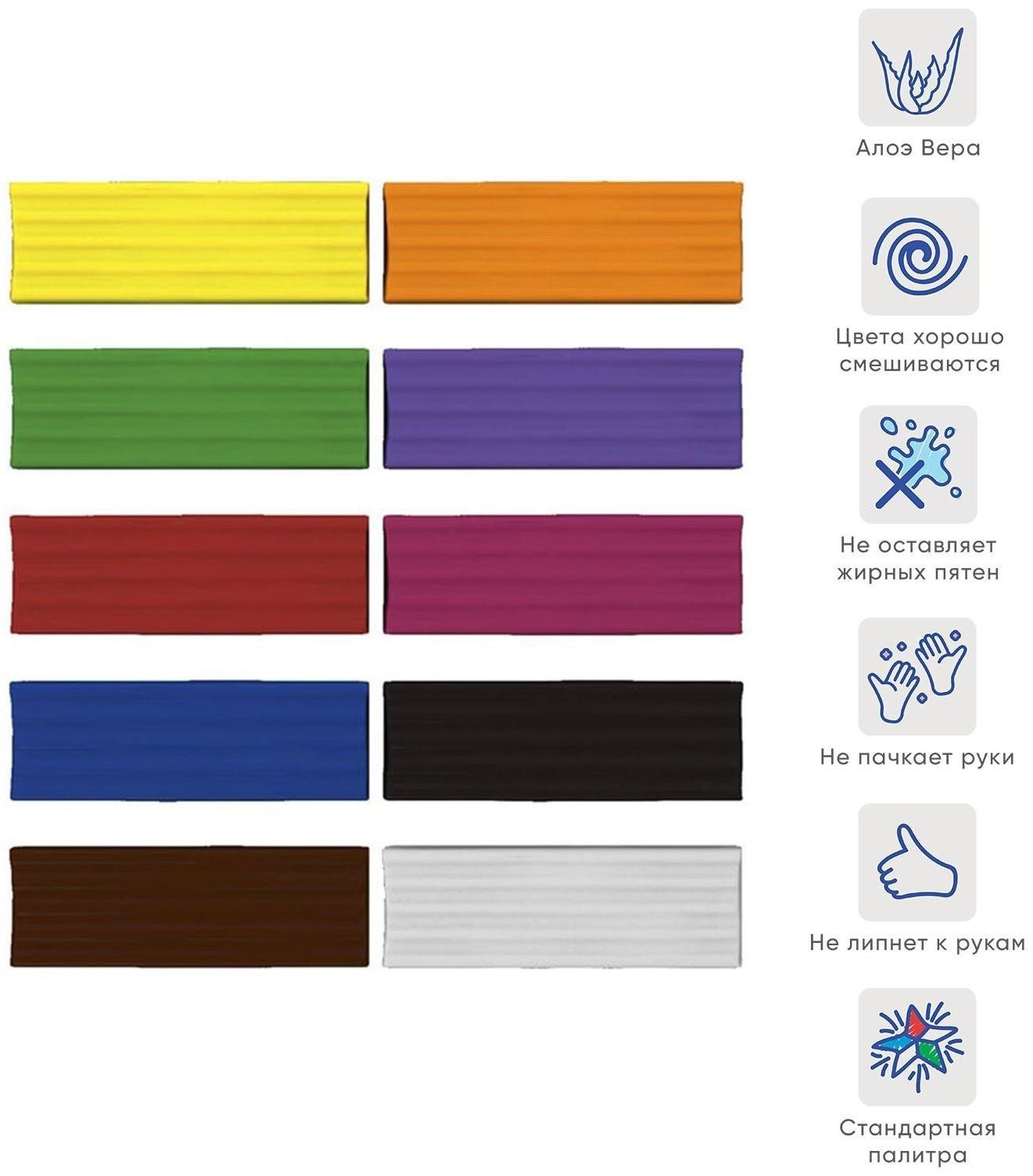 Пластилин 10 цветов, 180 г, ErichKrause ArtBerry, премиум, с алоэ вера, со стеком, индивидуальная упаковка брусков, в картонной упаковке