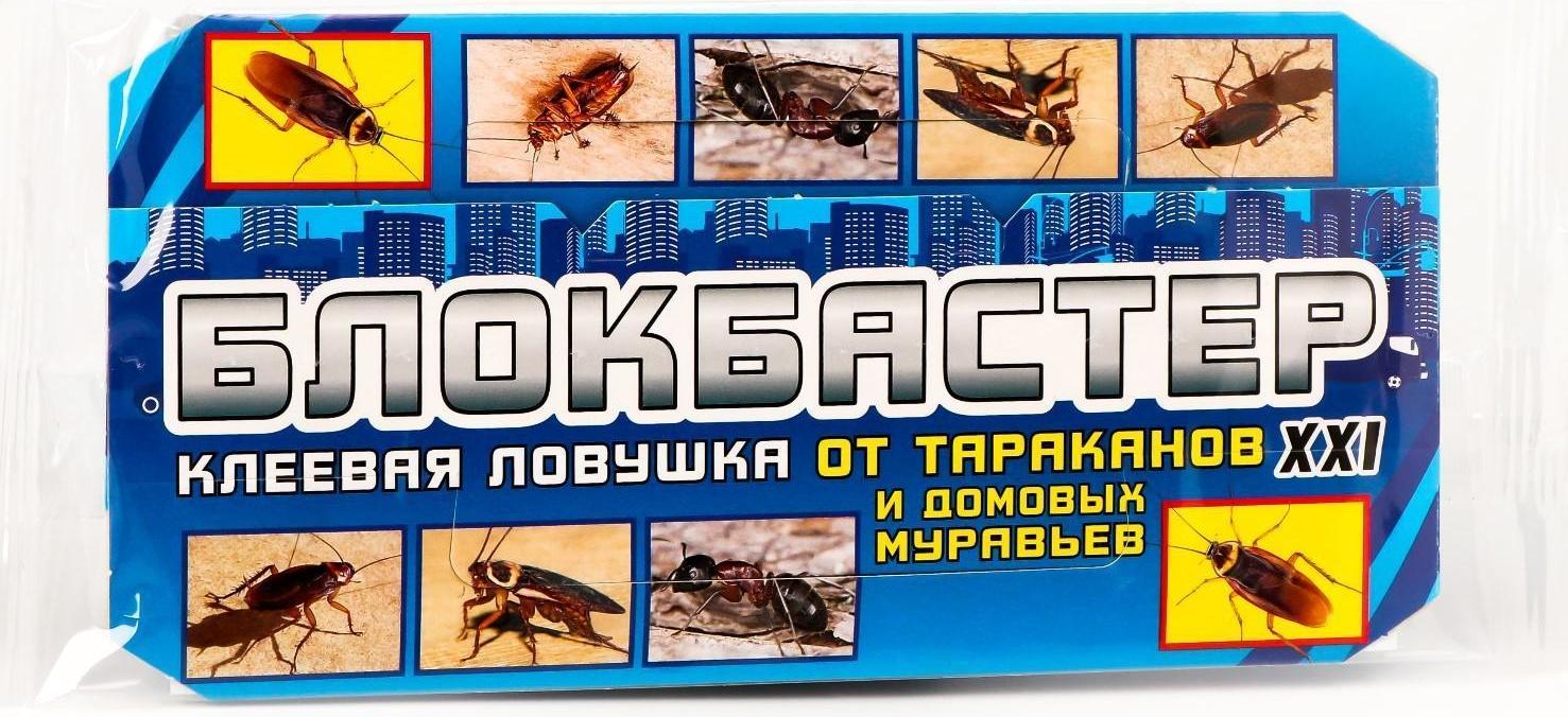 Ловушка-домик от тараканов 