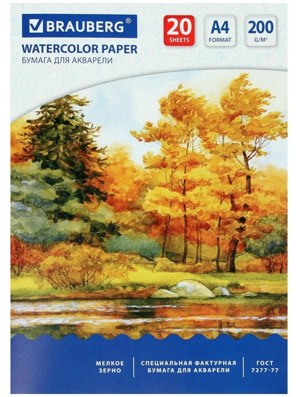 Папка для акварели А4, 210 х 297 мм, 20 листов, блок 200 г/м2, бумага по ГОСТ 7277-77