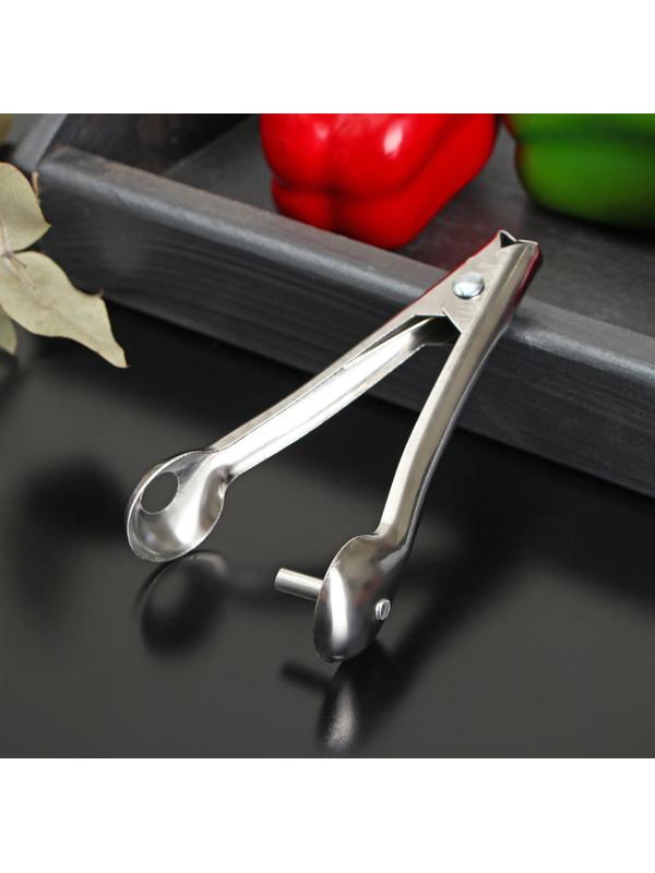 Удалитель косточек Доляна «Классик», 13 см