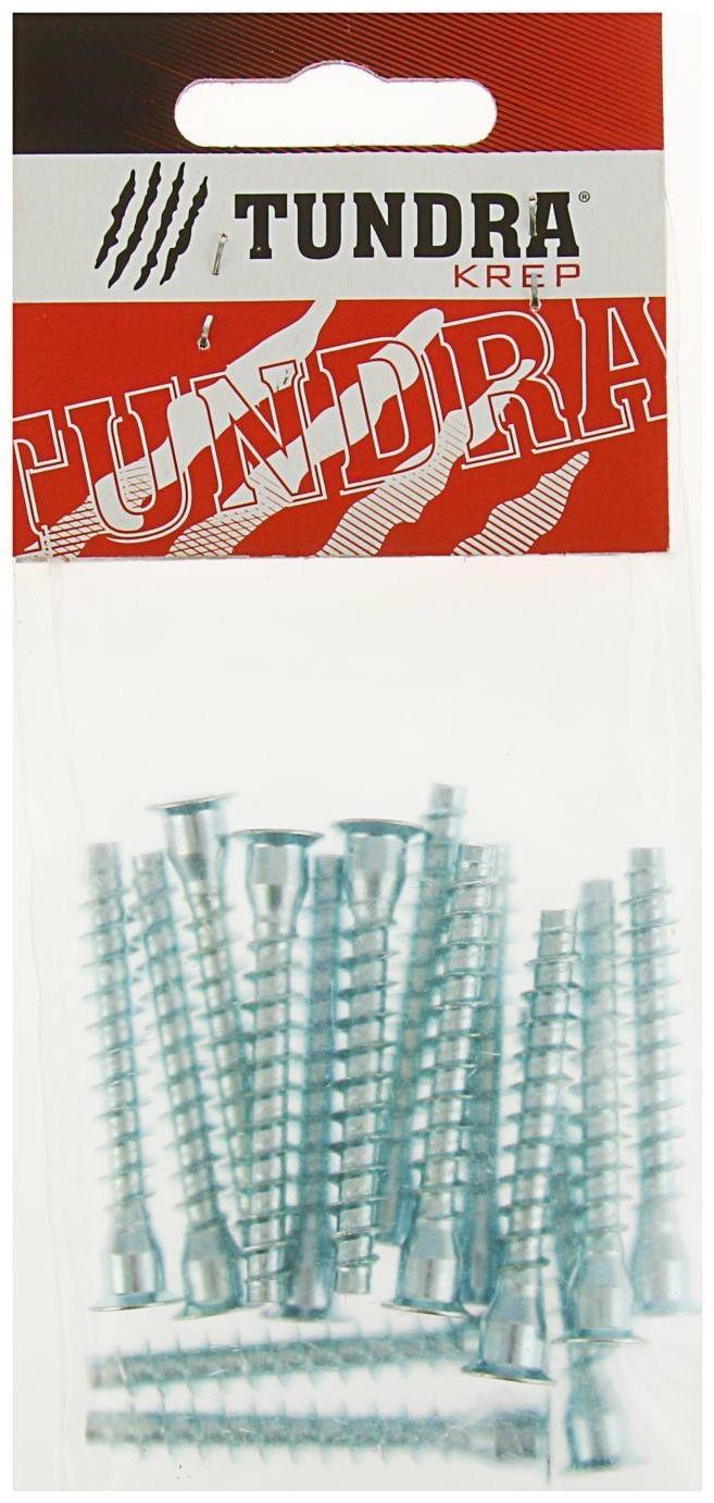 Винт конфирмат ТУНДРА krep, 7х50 мм, в пакете 15 шт.