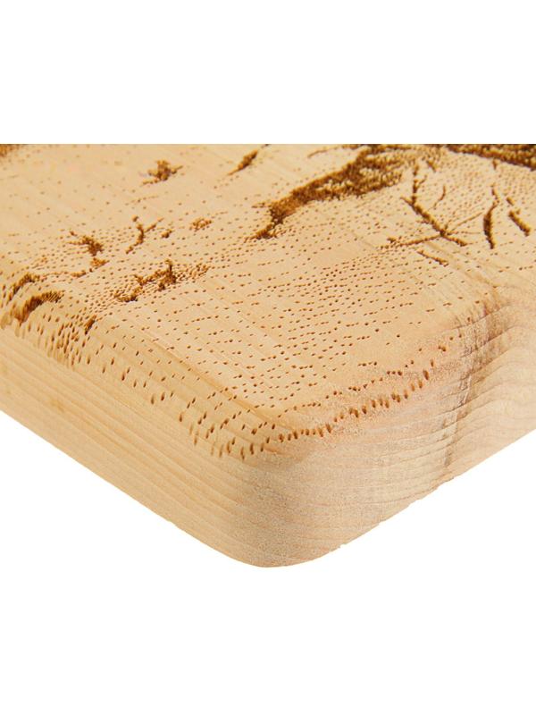 Доска из массива кедра «Рысь на снегу», квадратная, 18 × 18 см