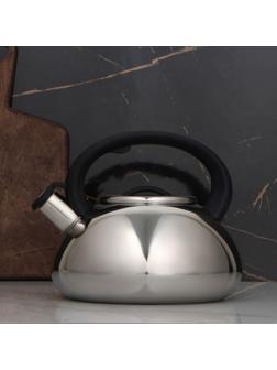 Чайник из нержавеющей стали со свистком Доляна «Квант», 2,8 л, фиксированная ручка, цвет чёрный