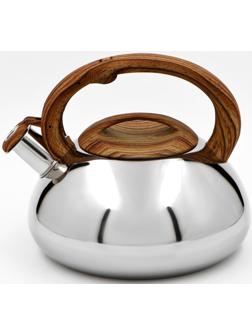Чайник из нержавеющей стали со свистком Доляна «Квант», 2,8 л, фиксированная ручка soft-touch, цвет коричневый