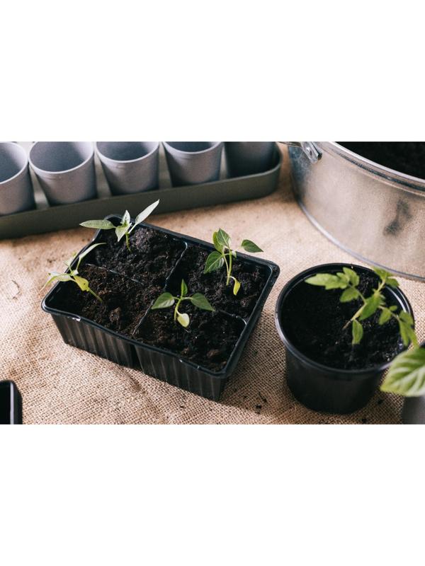 Кассета для рассады, 4 ячейки по 180 мл, набор 10 шт., чёрная, Greengo