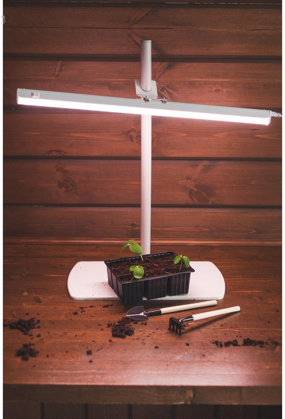 Кассета для рассады, 9 ячеек по 80 мл, набор 10 шт., чёрная, Greengo