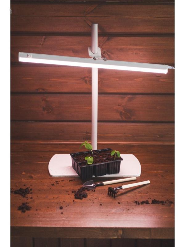 Кассета для рассады, 9 ячеек по 80 мл, набор 10 шт., чёрная, Greengo