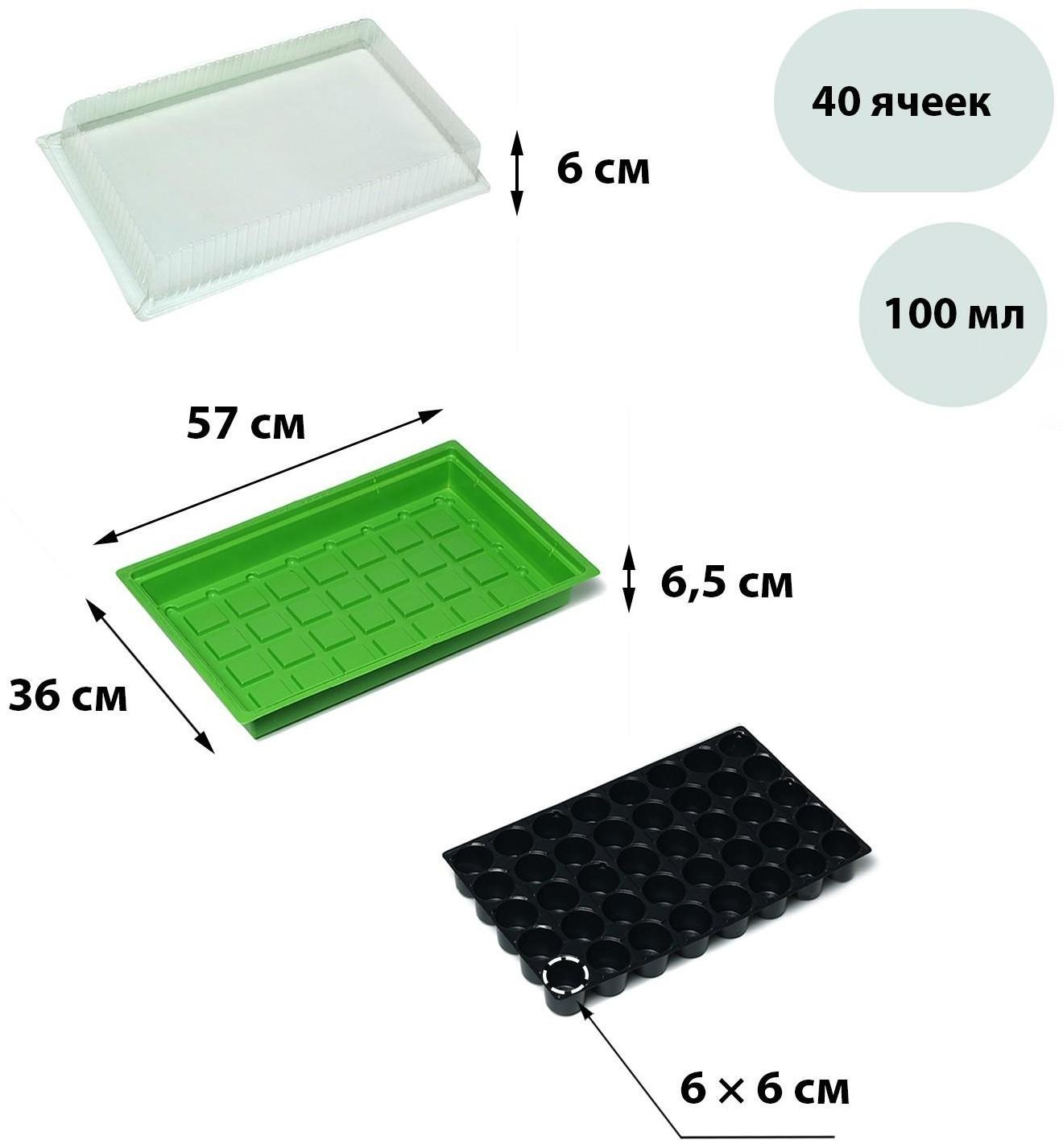 Мини-парник для рассады, 57 × 36 × 13.5 см, 1 вставка, 40 ячеек, Greengo