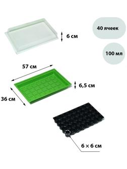 Мини-парник для рассады, 57 × 36 × 13.5 см, 1 вставка, 40 ячеек, Greengo