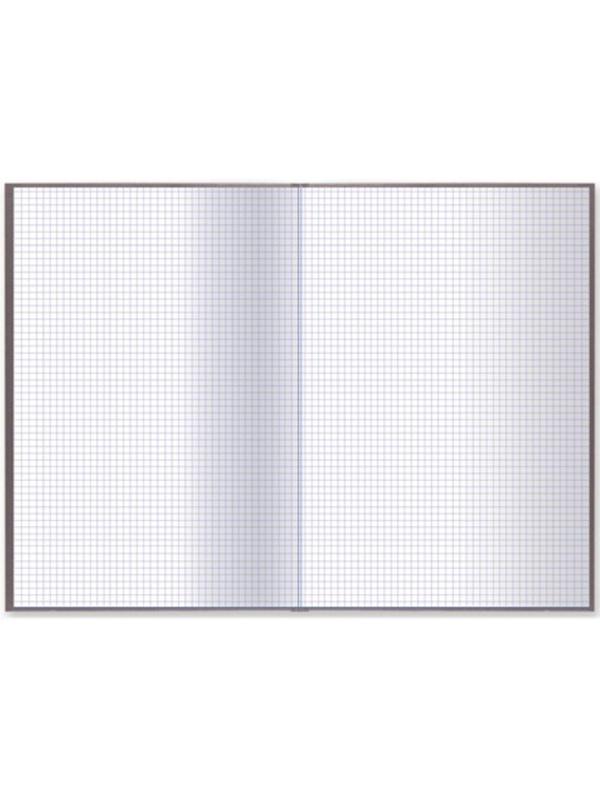 Книга учета А4, 96л 200x290 мм, клетка, обложка крафт, блок газетный