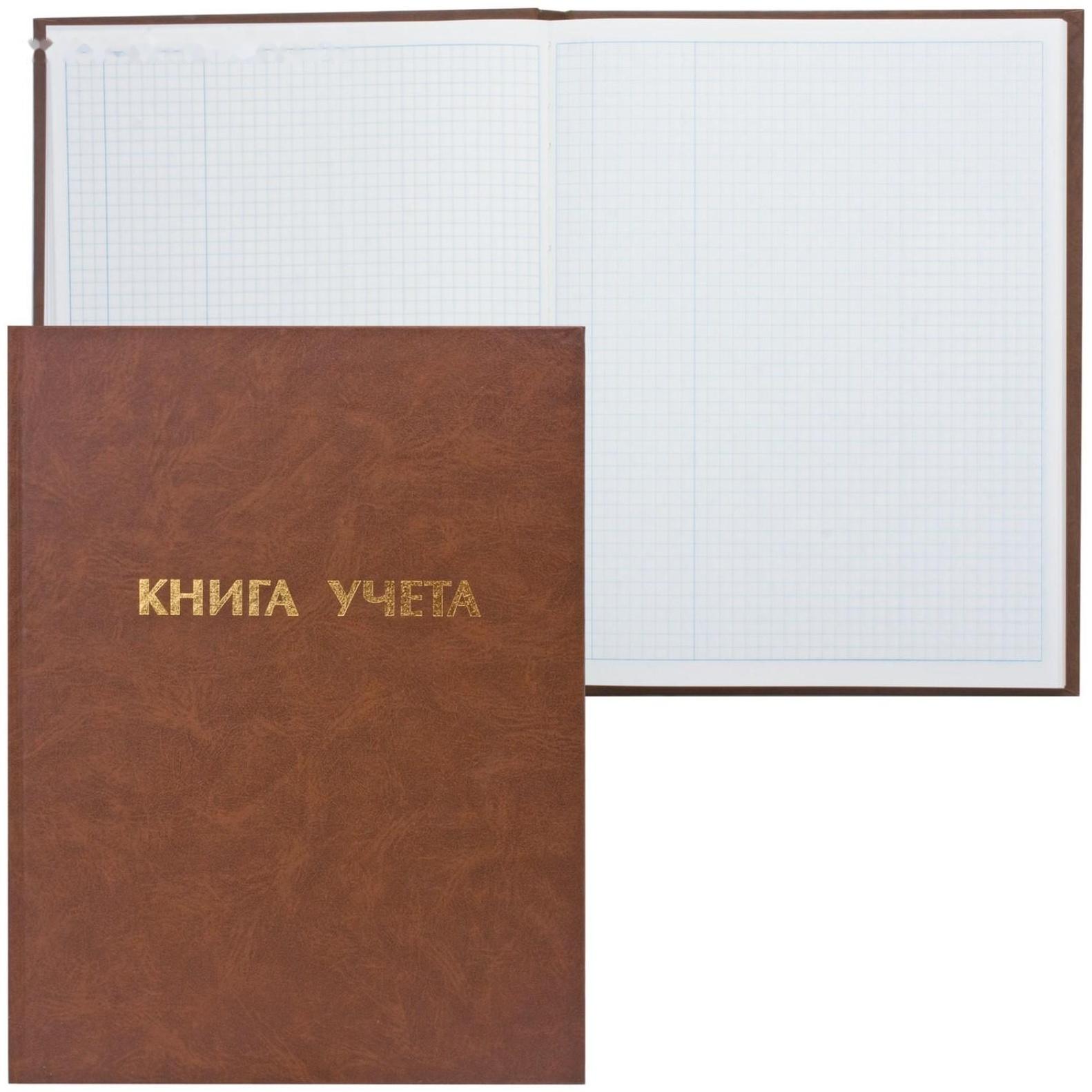 Книга учёта А4, 96 листов, 210x265 мм, в клетку, обложка бумвинил, пустографка, блок офсет