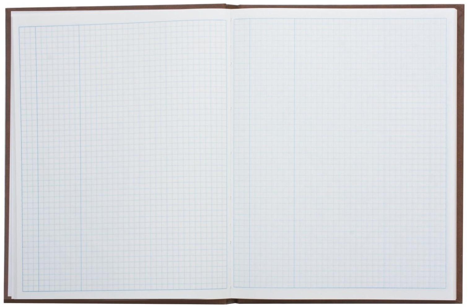 Книга учёта А4, 96 листов, 210x265 мм, в клетку, обложка бумвинил, пустографка, блок офсет