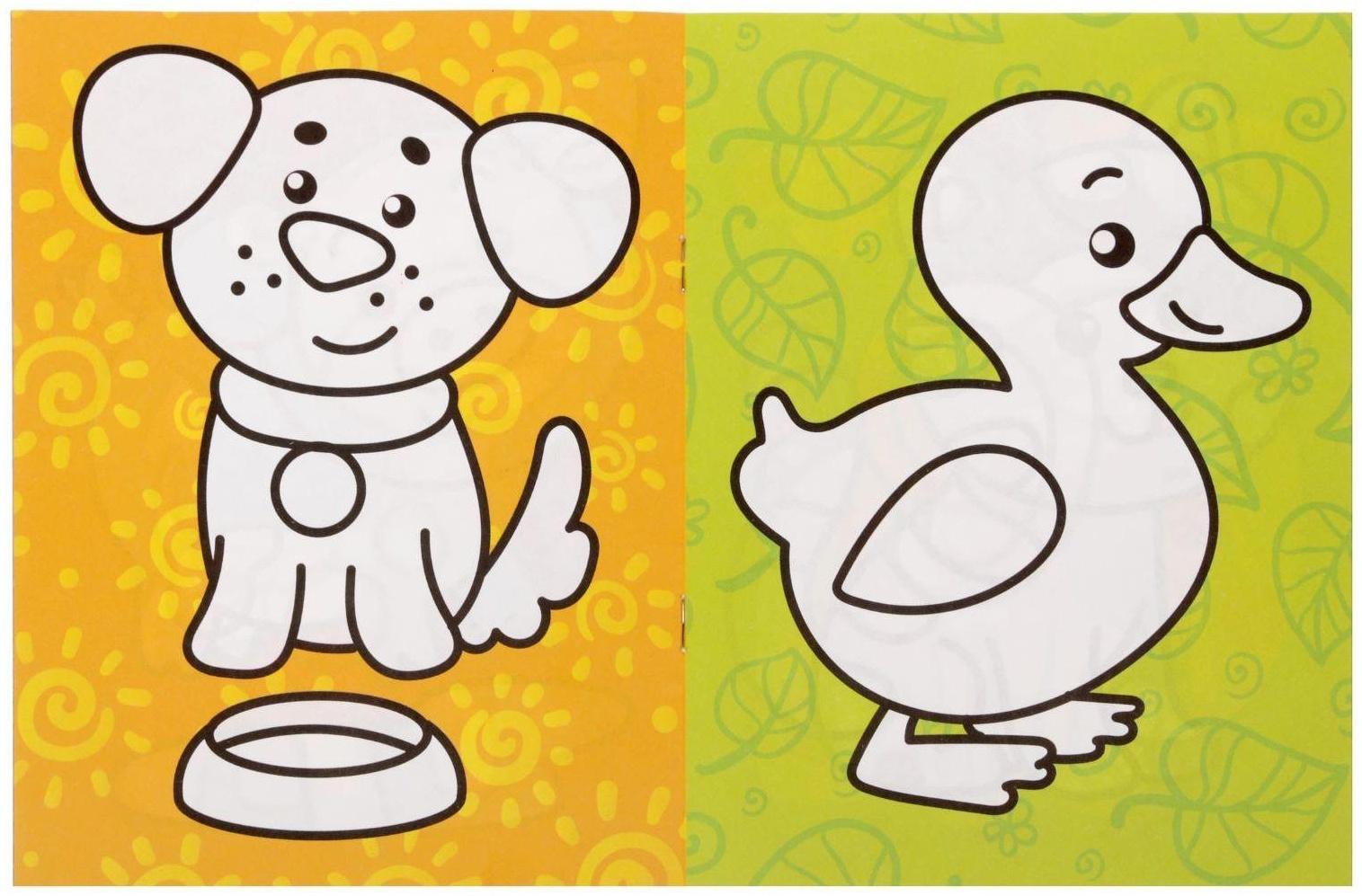 Раскраска «Животные», 12 стр.