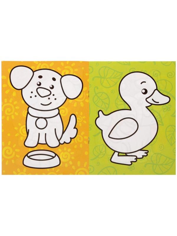 Раскраска «Животные», 12 стр.