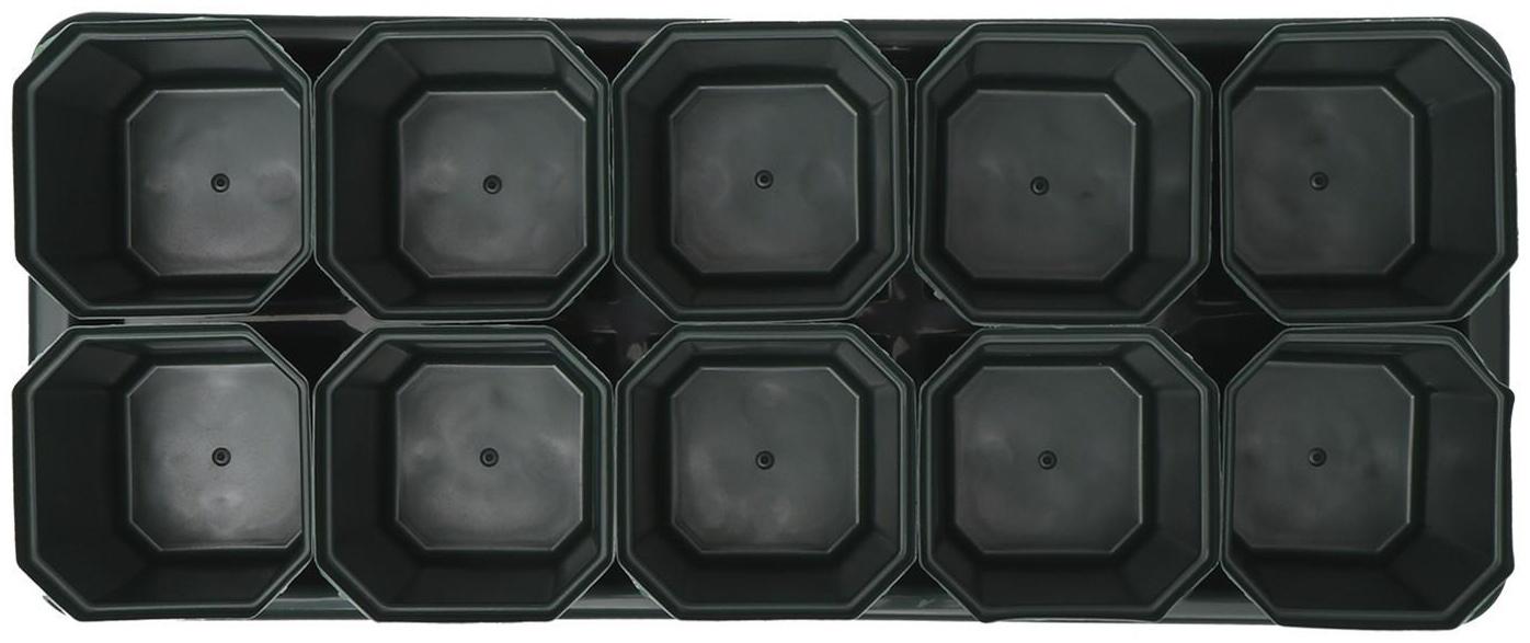 Набор для рассады: стаканы по 300 мл (10 шт.), поддон 41 × 17 см, цвет МИКС