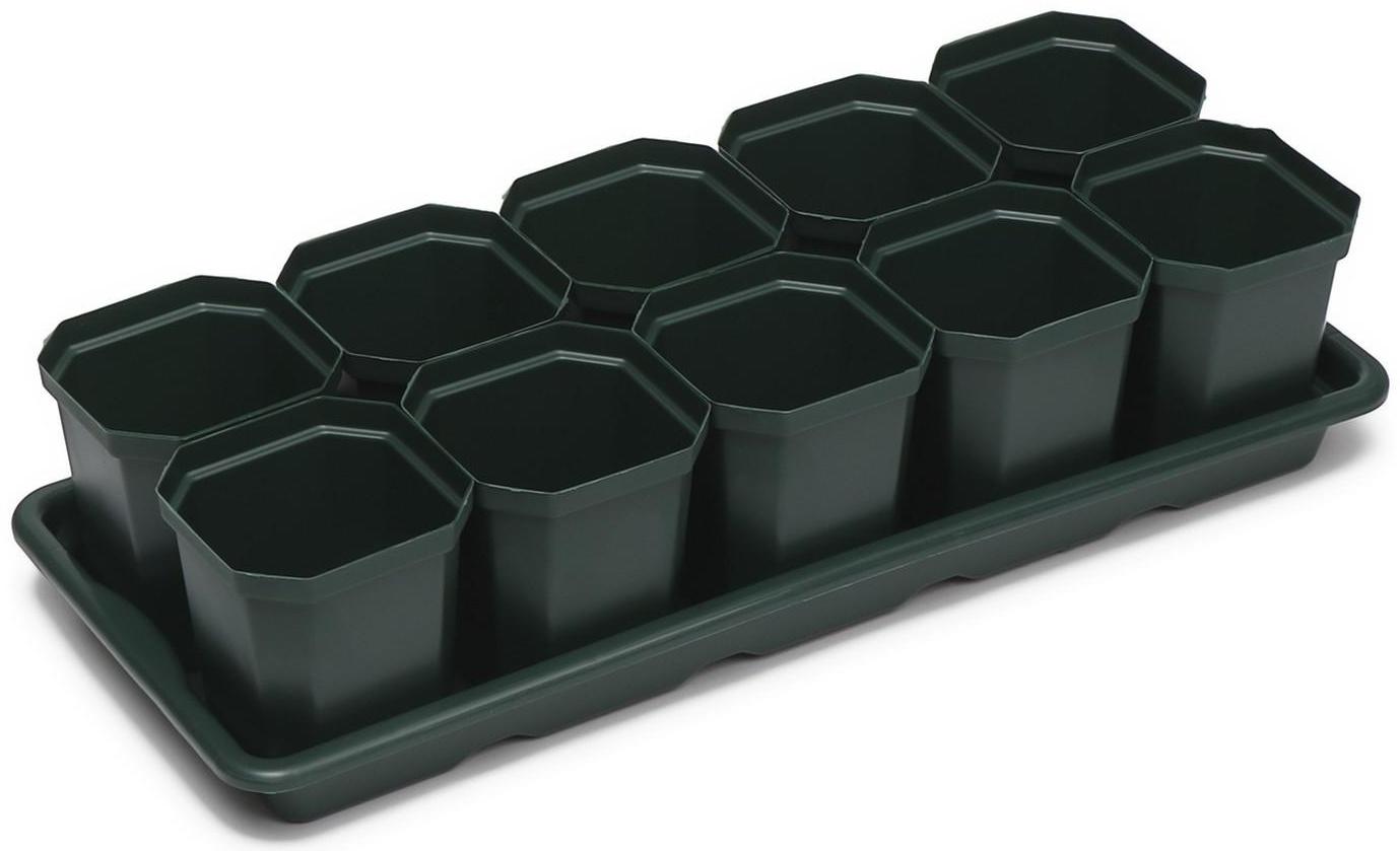 Набор для рассады: стаканы по 300 мл (10 шт.), поддон 41 × 17 см, цвет МИКС