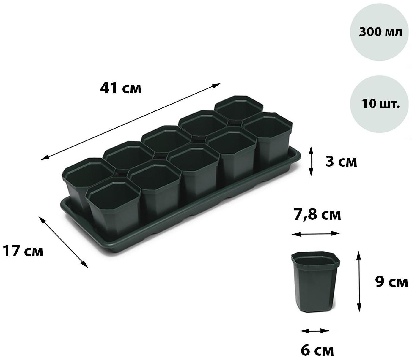 Набор для рассады: стаканы по 300 мл (10 шт.), поддон 41 × 17 см, цвет МИКС