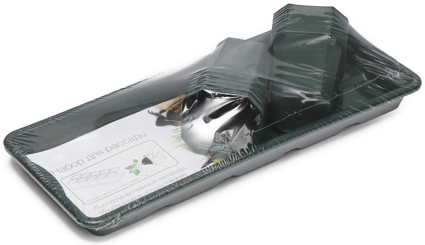 Набор для рассады: стаканы по 300 мл (10 шт.), поддон 41 × 17 см, цвет МИКС