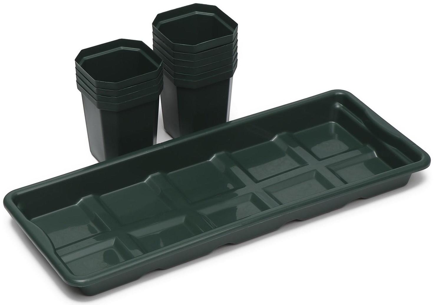 Набор для рассады: стаканы по 300 мл (10 шт.), поддон 41 × 17 см, цвет МИКС