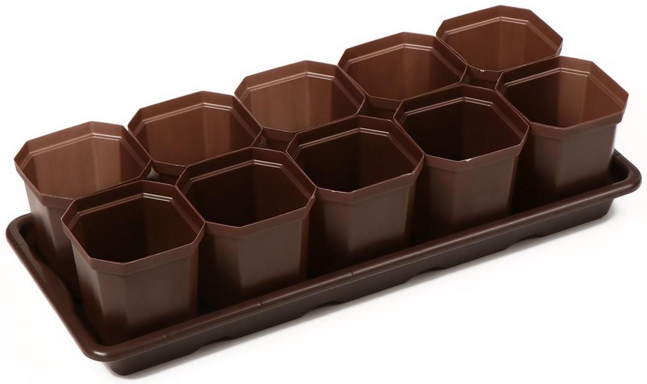 Набор для рассады: стаканы по 300 мл (10 шт.), поддон 41 × 17 см, цвет МИКС