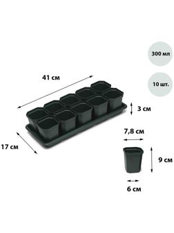 Набор для рассады: стаканы по 300 мл (10 шт.), поддон 41 × 17 см, цвет МИКС